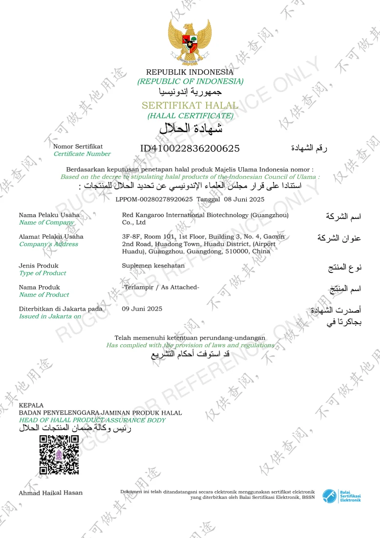 Indonesia Halal Certificate supplied certificate document